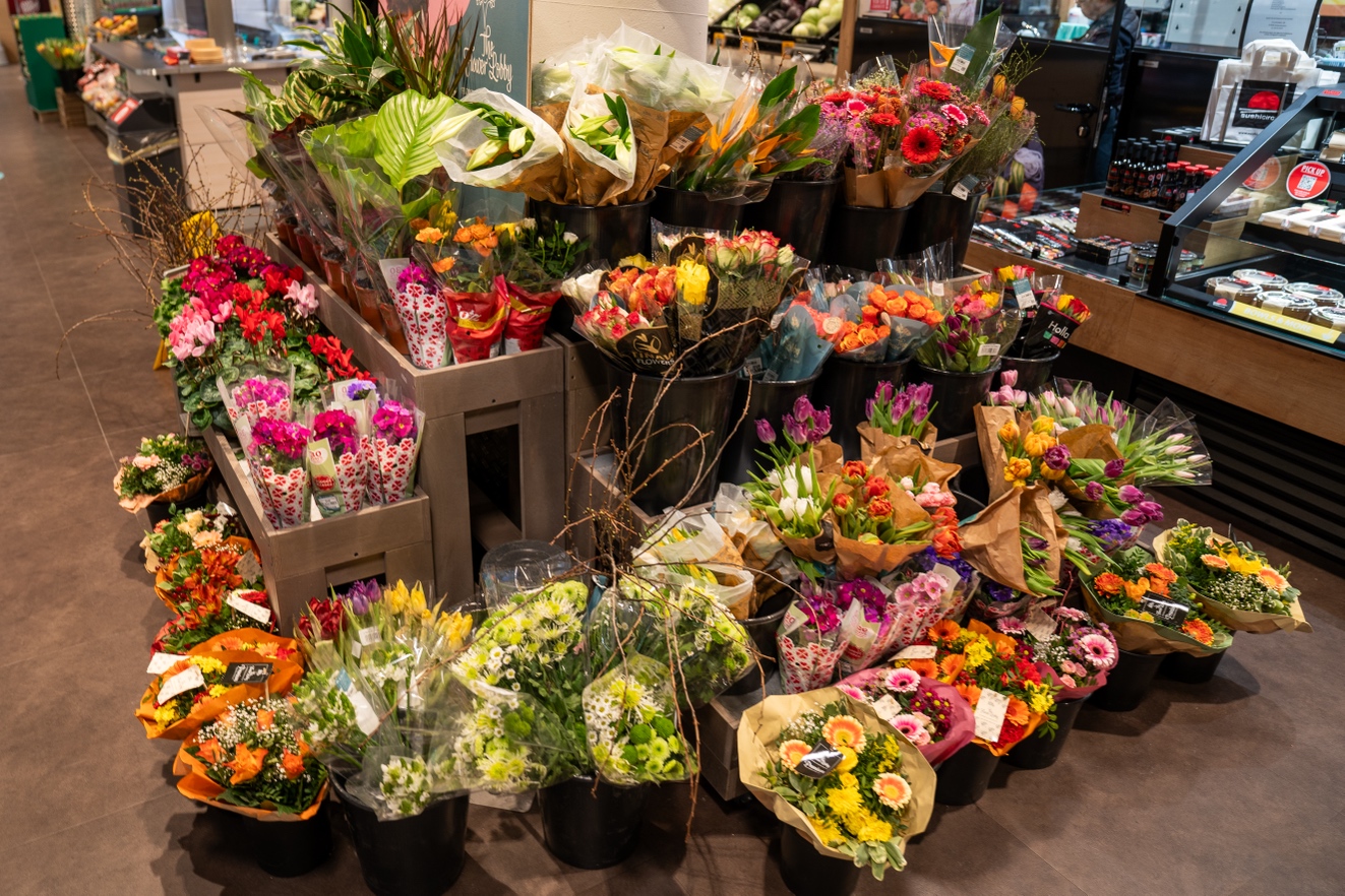 Blumen