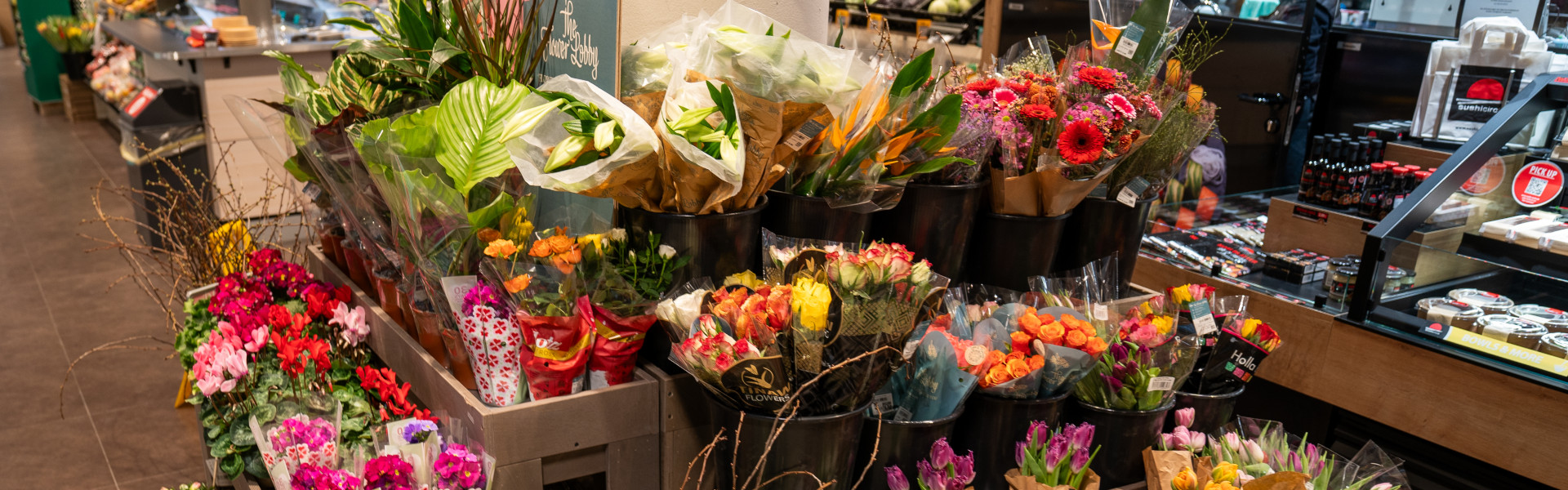 Blumen Blumen